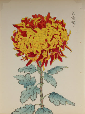 100 chrysanthemums by Keika - p1