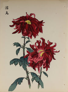100 chrysanthemums by Keika - p12