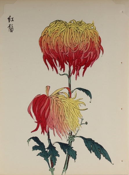 100 chrysanthemums by Keika - p14