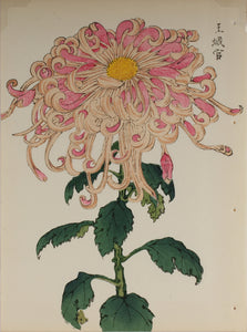 100 chrysanthemums by Keika - p40