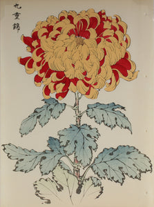 100 chrysanthemums by Keika - p41