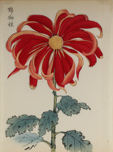 100 chrysanthemums by Keika - p45