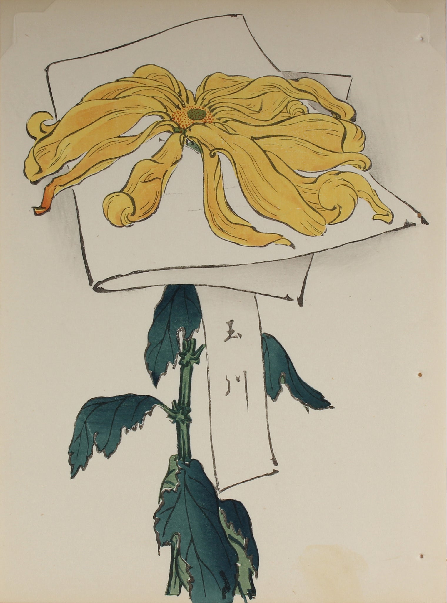 100 chrysanthemums by Keika - p10