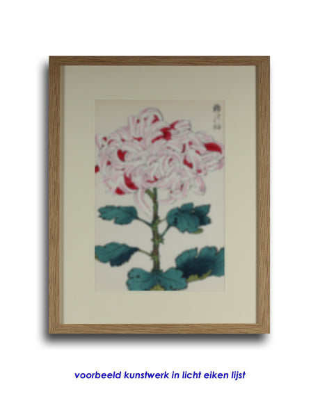 100 chrysanthemums by Keika - p14